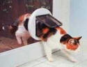 Catflaps fitted, catflaps installed in Chelmsford