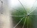 Glass Repair in Chelmsford
